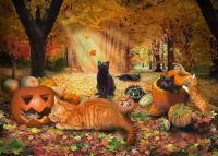 Cats - Cats In Autumn - Digital